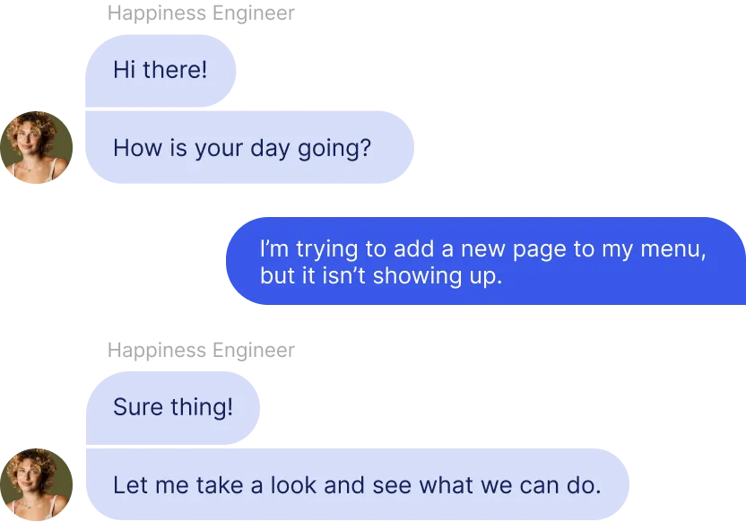 Support chat conversation about fixing a WordPress menu
